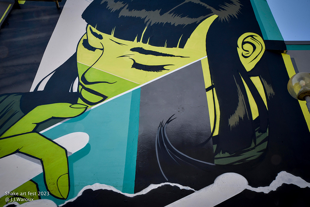 femme-peinture-street-art