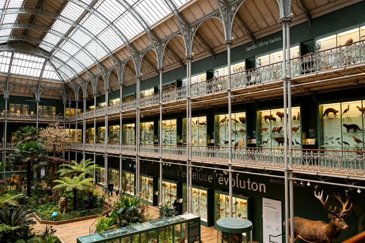 Musée de l’Évolution : Découvrez le joyau du Jardin des Plantes