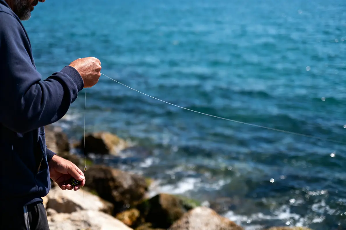 Personne tenant une ligne de pêche près de la mer, rochers en arrière-plan.
